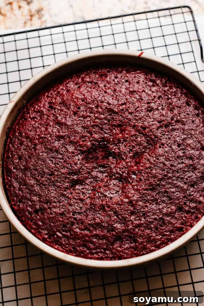 Decadent Red Velvet Dream 9 A freshly baked red velvet cake layer cooling in its cake pan on a wire rack, ready for frosting.