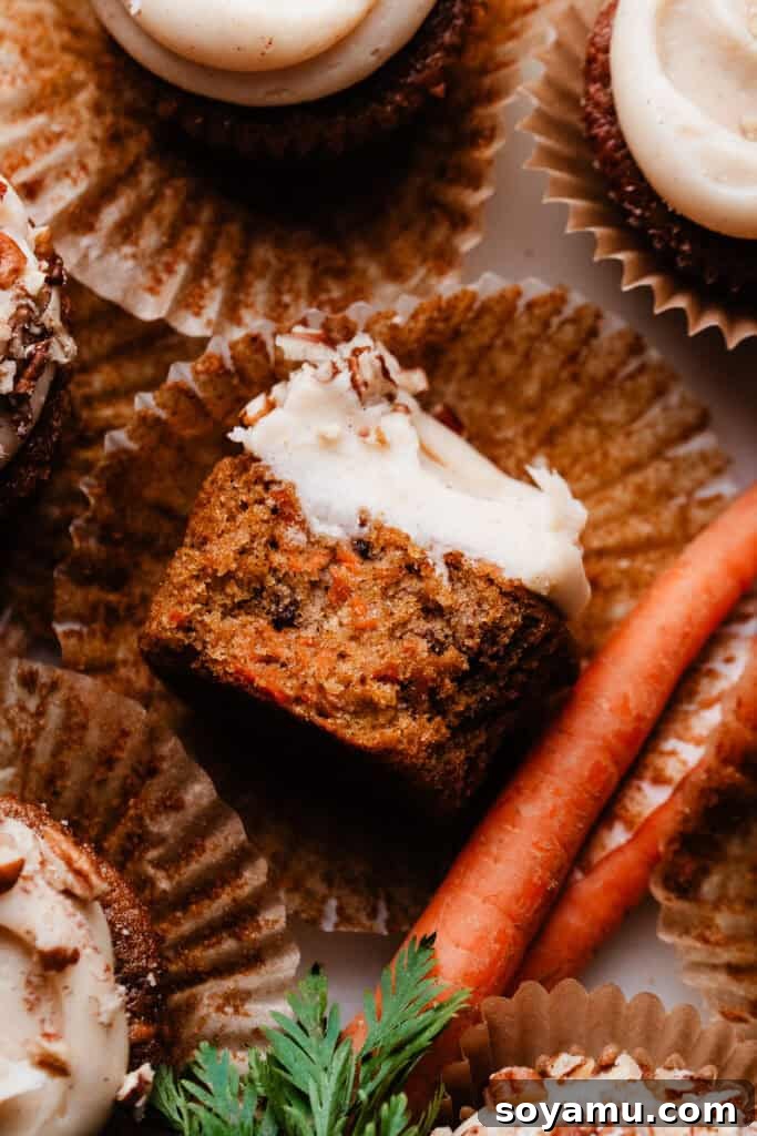 Brown Butter Cream Cheese Frosted Carrot Cupcakes 11 A close-up view from above of a moist carrot cake cupcake with a portion gently bitten off, revealing its fluffy interior texture beneath a swirl of frosting.