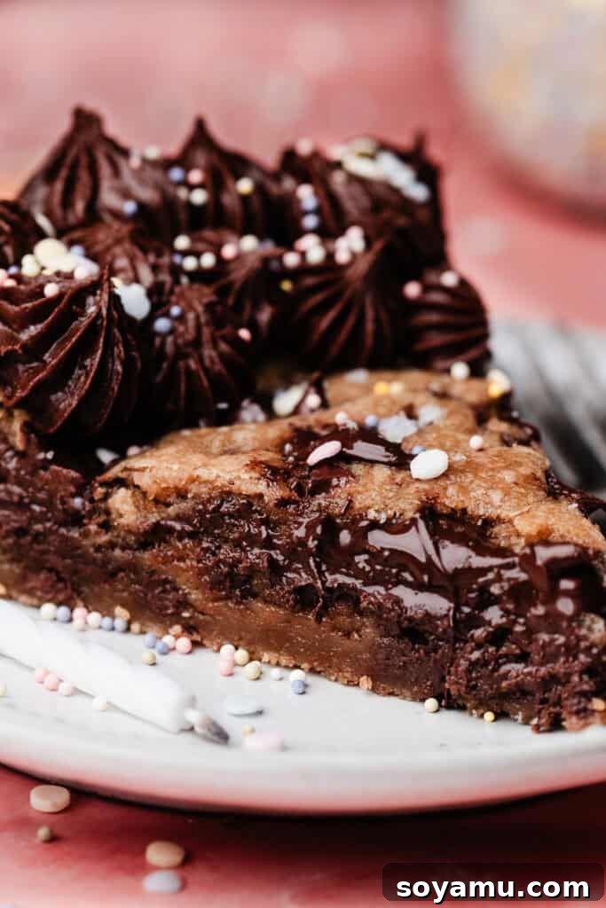 Chocolate Chip Cookie Cake Recipe — Soft, Chewy, Crowd-Pleasing 3 A close-up on a slice of the gooey chocolate chip cookie cake.