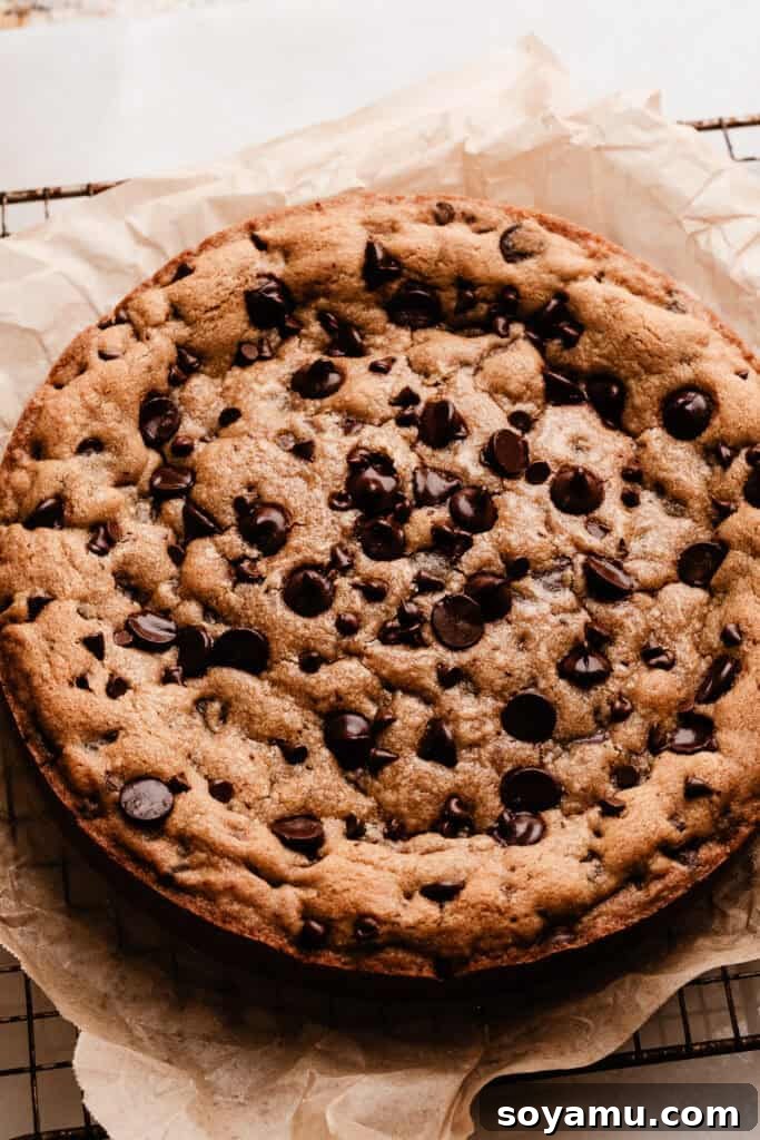 Chocolate Chip Cookie Cake Recipe — Soft, Chewy, Crowd-Pleasing 7 The baked chocolate chip cookie cake, cooling on a wire rack.