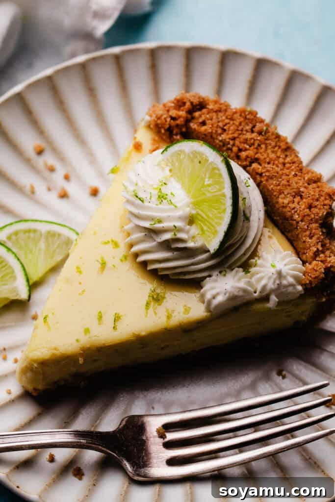 Ultra-Creamy Key Lime Pie Recipe for Perfectly Tangy Slices 13 A bird's eye view of a slice of the pie on a dessert plate. The slice is topped with a swirl of whipped cream and a lime slice.
