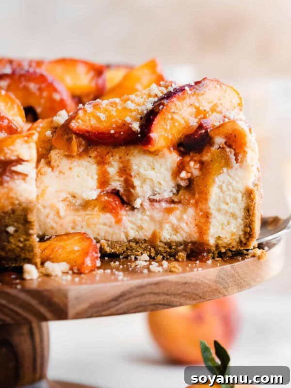 Strawberry Rhubarb Hand Pies Recipe: Flaky Mini Fruit Pies 2 Peach Cobbler Cheesecake