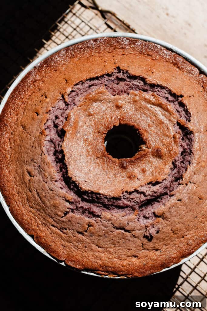 Double Blueberry Bundt Cake Recipe for Moist, Fruity Treat 12 The baked bundt cake cooling on a wire rack in the pan.