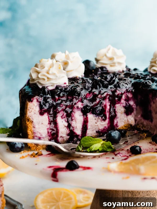 Double Blueberry Bundt Cake Recipe for Moist, Fruity Treat 18 Blueberry cheesecake on a white cake stand topped with blueberry sauce.