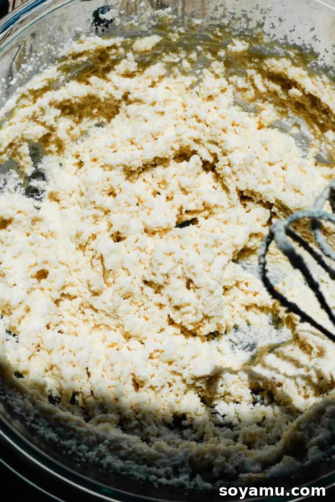 Double Blueberry Bundt Cake Recipe for Moist, Fruity Treat 7 A mixing bowl full of butter and oil creamed with sugar.