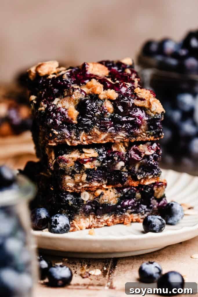 Homemade Blueberry Oat Crumble Bars 2 A stack of three blueberry bars on a dessert plate.