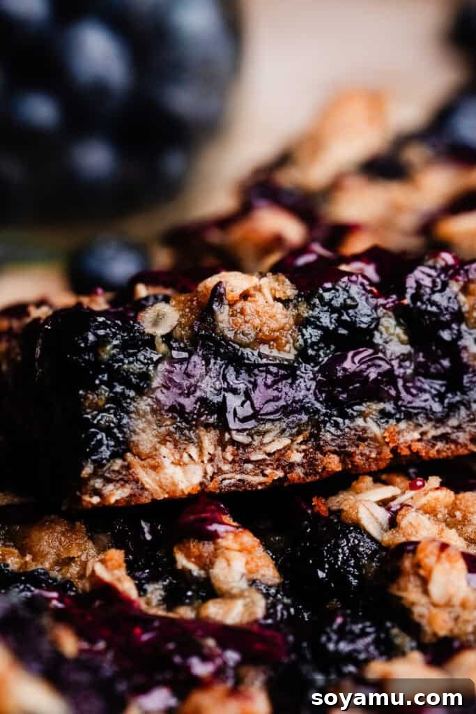 Homemade Blueberry Oat Crumble Bars 13 A close-up on a cross-section of a blueberry bar, showing the juicy blueberry filling inside.