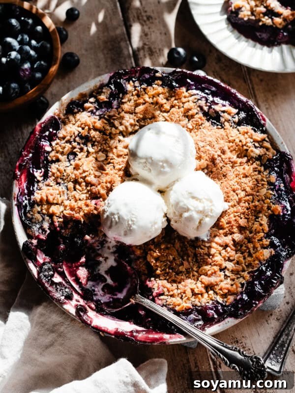 Homemade Blueberry Oat Crumble Bars 14 A round dish of blueberry crisp topped with ice cream, with a serving spoon digging in.