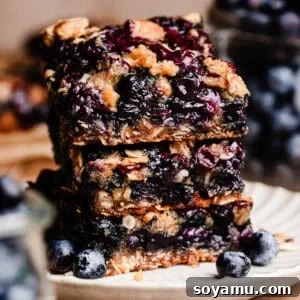 Homemade Blueberry Oat Crumble Bars 18 A stack of three blueberry crumble bars on a dessert plate.