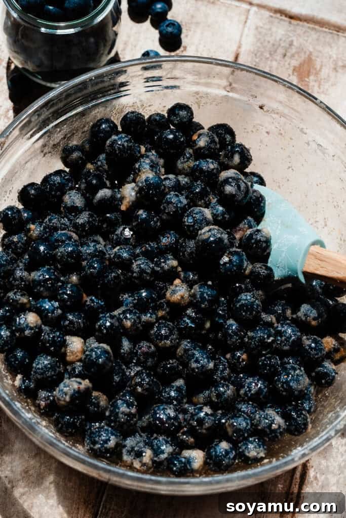 Homemade Blueberry Oat Crumble Bars 4 A bowl of the blueberry filling.