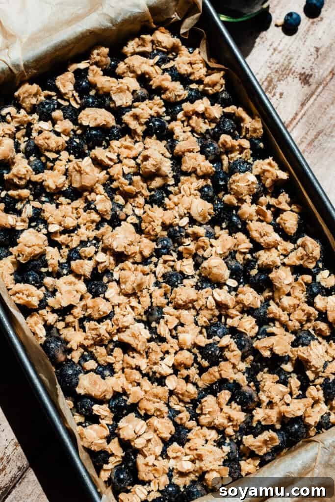 Homemade Blueberry Oat Crumble Bars 9 The assembled bars, with the crumble sprinkled on top, ready to be baked.