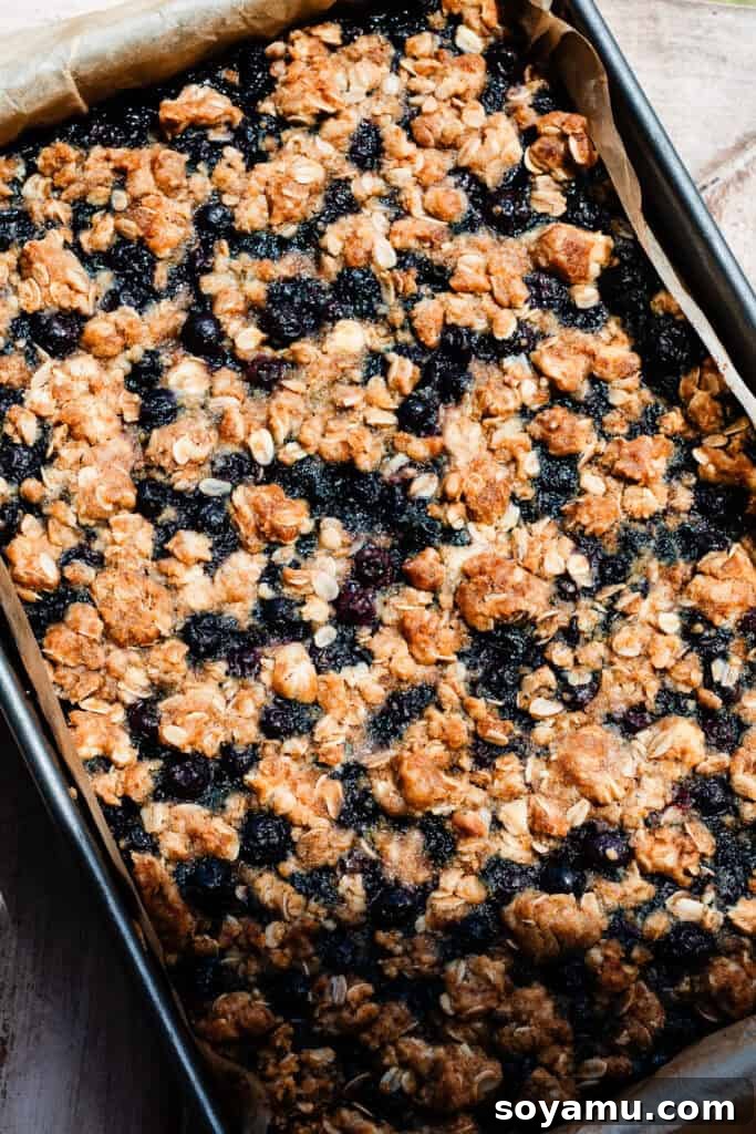 Homemade Blueberry Oat Crumble Bars 10 A pan of the baked bars.