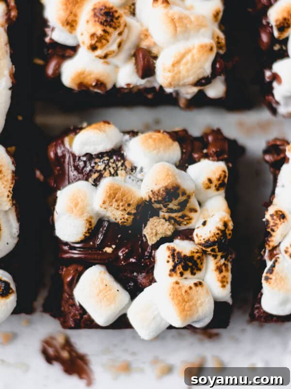 Sheet-Pan Brownies with Rich Chocolate Fudge Frosting 17 A top-down view of a s'mores brownie topped with melty chocolate and toasted marshmallows.