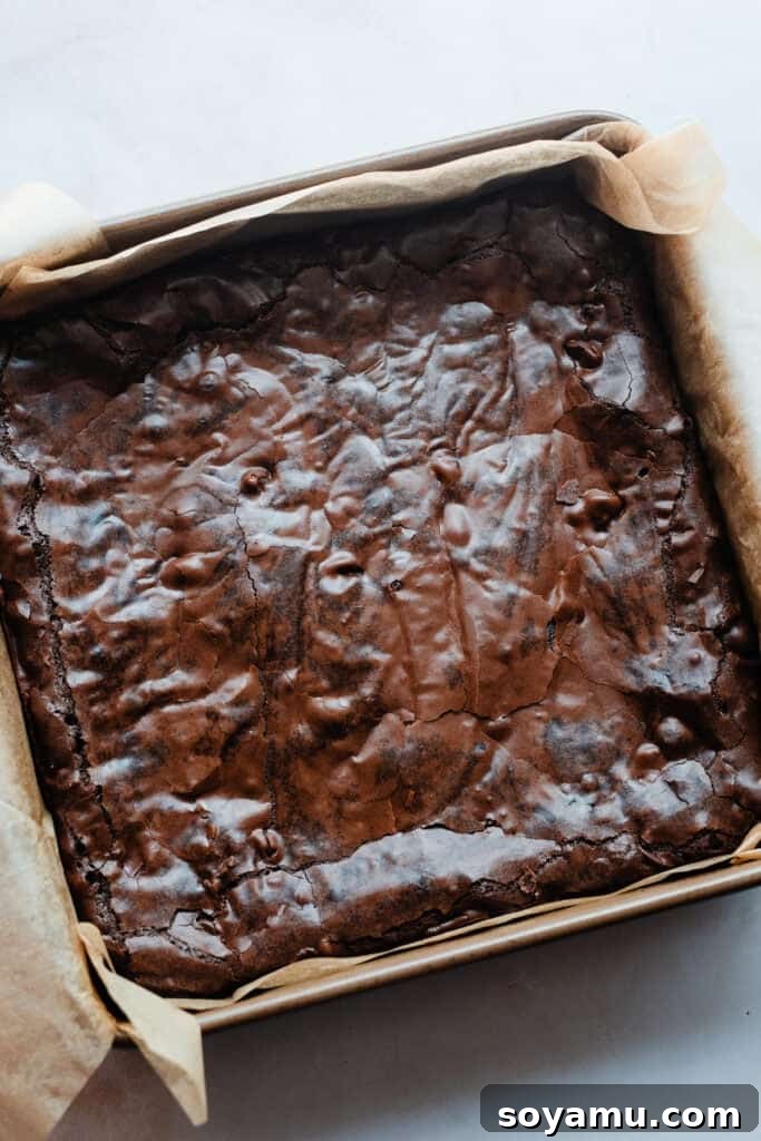 Sheet-Pan Brownies with Rich Chocolate Fudge Frosting 10 A pan of the baked brownies.