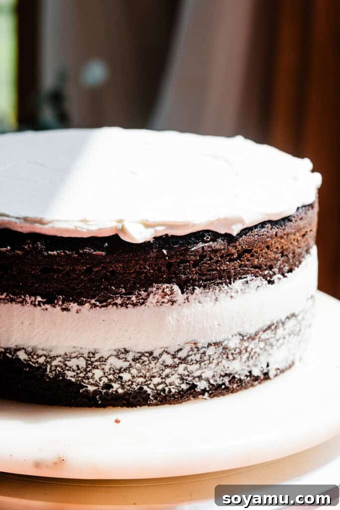 Two cake layers partway through assembly. The top cake layer is topped with an even layer of whipped cream.