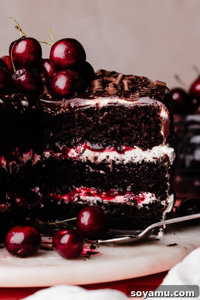 A close-up on the inside of the sliced black forest cake.