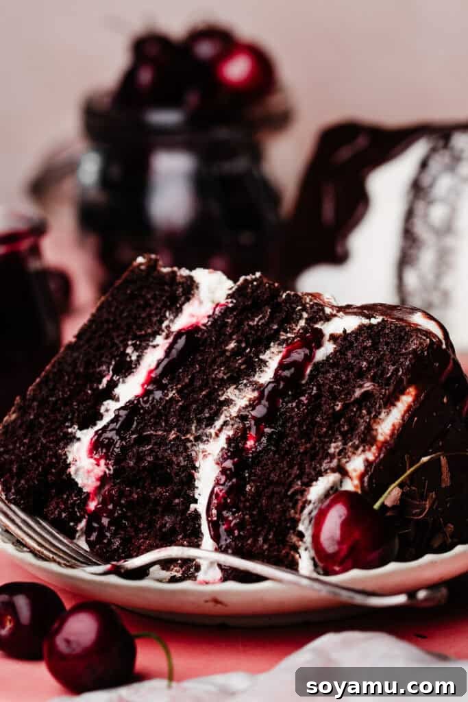 A slice of black forest cake on a plate, with a bite missing, to show the rich and most texture of the cake.