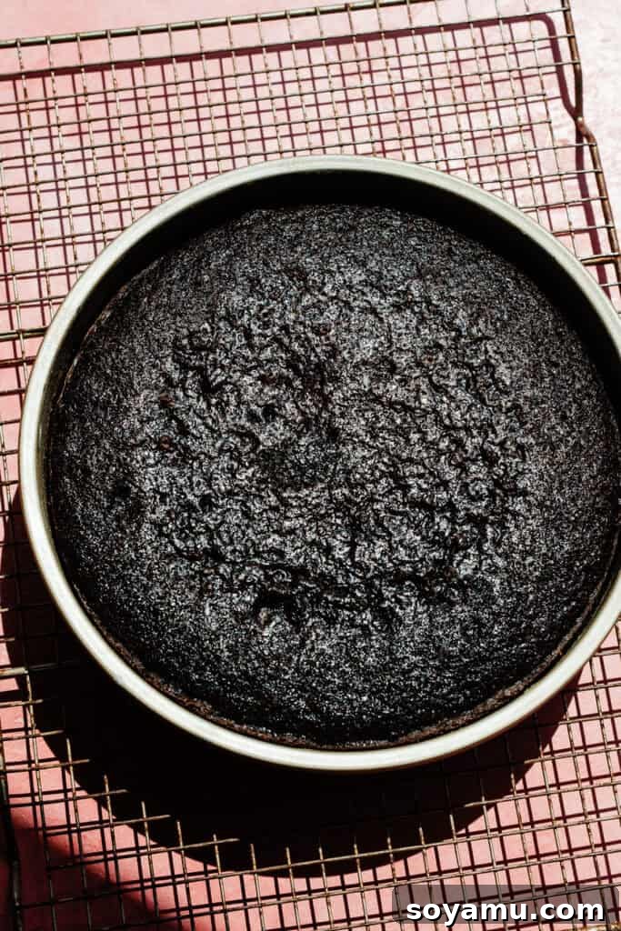 A baked cake layer cooling on a wire rack.
