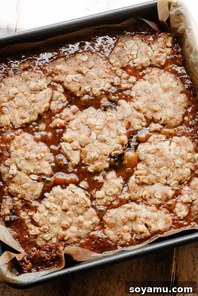 Carmelita Bars with Homemade Salted Caramel Filling 12 A photo of the pan of bars, baked properly, so that the topping is a rich golden brown.