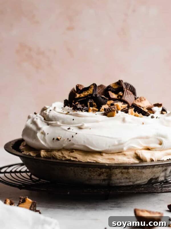 Decadent Moist Oreo Cake Recipe 18 A peanut butter pie piled with whipped cream and peanut butter cups.