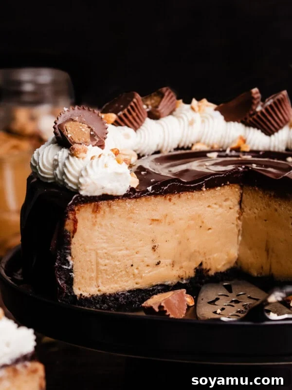 Decadent Moist Oreo Cake Recipe 20 A close-up of the sliced peanut butter cheesecake, topped with ganache and peanut butter whipped cream.