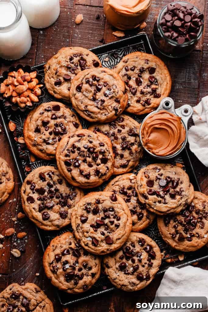 Chewy No-Chill Peanut Butter Chocolate Chip Cookies 2 A bird's eye view of a vintage tray filled with the peanut butter chocolate chip cookies.