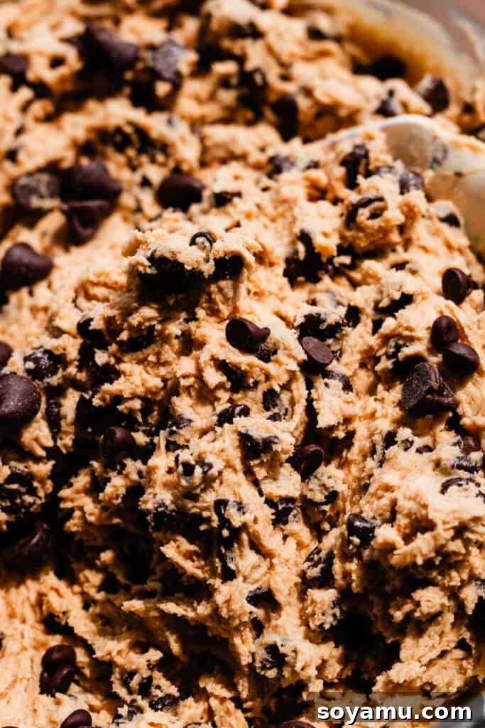 Chewy No-Chill Peanut Butter Chocolate Chip Cookies 6 A close-up on the cookie dough.