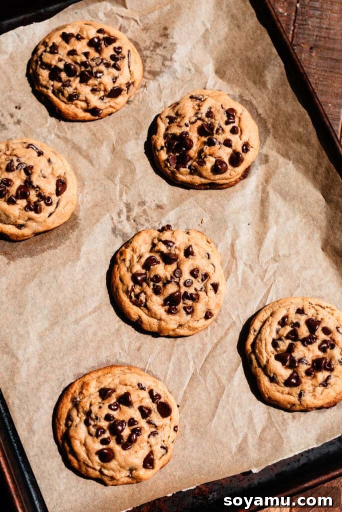 Chewy No-Chill Peanut Butter Chocolate Chip Cookies 9 A cookie sheet with some of the baked cookies.