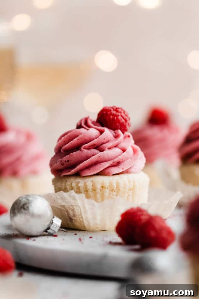 A champagne cupcake topped with a swirl of raspberry frosting.